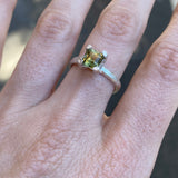 S44 - Claw Ring | Size N 1/2 or 6 3/4