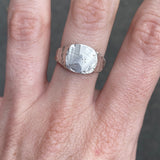 S37 - Sculpted Signet | Size P or 7 1/2