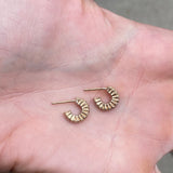 S88 - Fine Spectrum hoops