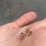S57 Mini Teeth Studs