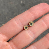 S57 Mini Teeth Studs