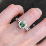 S69 Teeth Ring Size 6 1/2